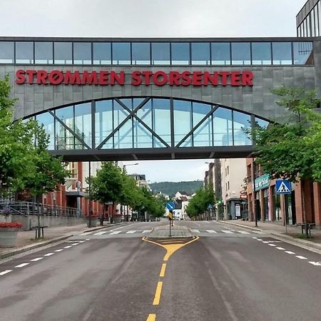 City Apartment Fully Furnished - Lillestrom-Strommen Eksteriør billede